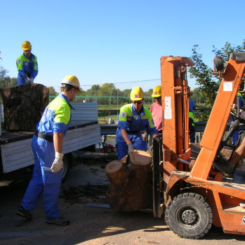 Addestramento a Cordenons 01/10/2011 n. 10 / 70801