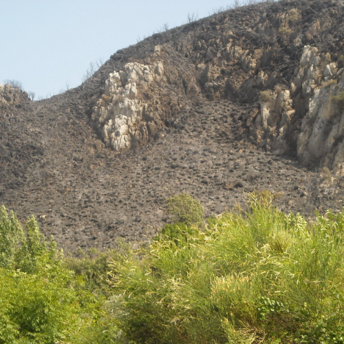 Incendio 25/07 n. 6 / 41072