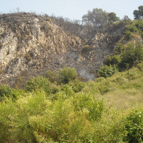 Incendio 25/07 n. 7 / 41073