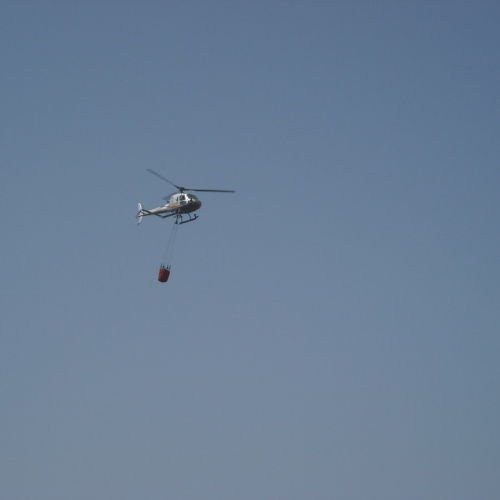 Incendio 25/07 n. 11 / 41077