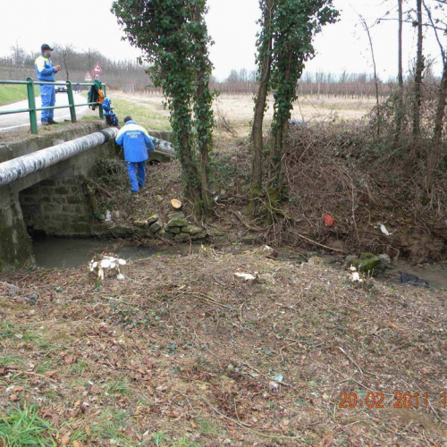 Attivit‡ di prevenzione 20/02/2011 n. 21 / 61201