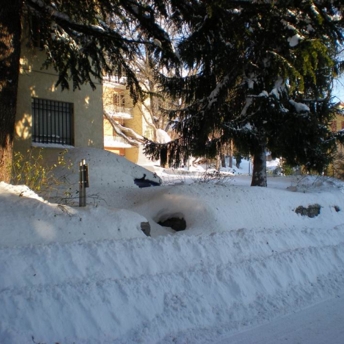 Gallery Carpegna n. 16 / 76099