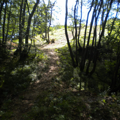 Esercitazione Trasaghis 2010" n. 15""sercitazione "Trasagh""ercitaz" / 54642