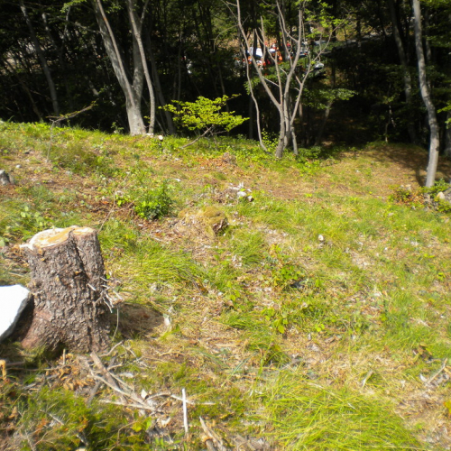 Esercitazione Trasaghis 2010" n. 18""sercitazione "Trasagh""ercitaz" / 54645