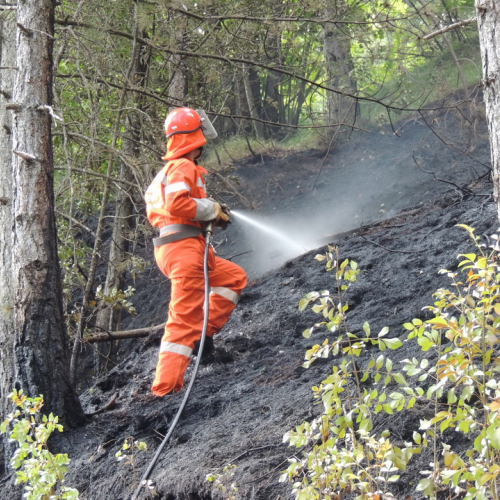 Incendio a Stolvizza n. 1 / 97771