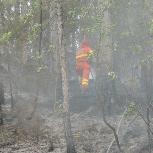 Incendio a Stolvizza n. 2 / 97772