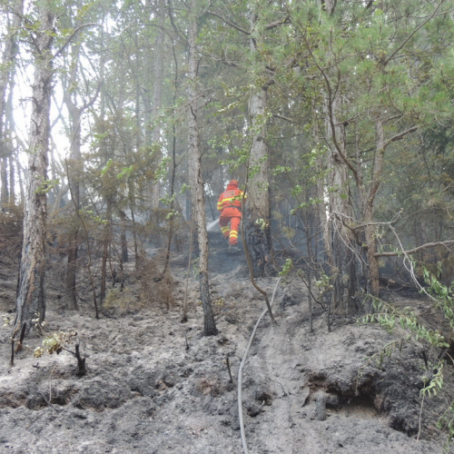 Incendio a Stolvizza n. 3 / 97773