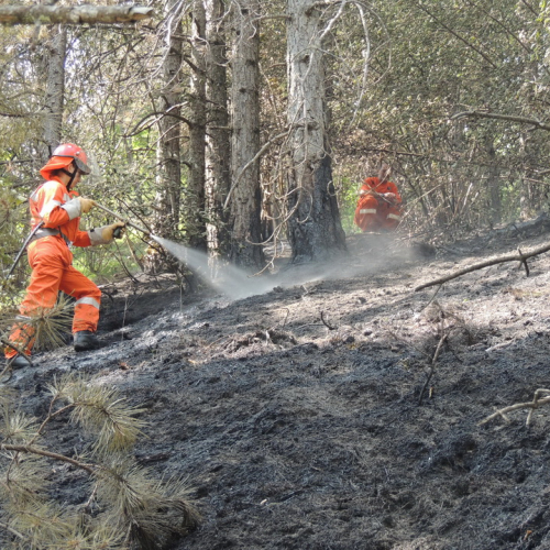 Incendio a Stolvizza n. 4 / 97774