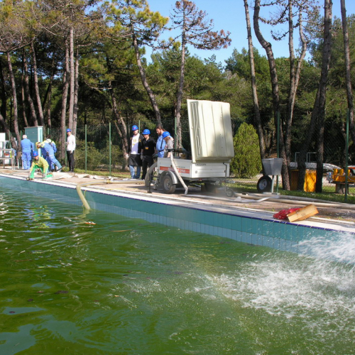 Stage Lignano 30/03 n. 17 / 38680