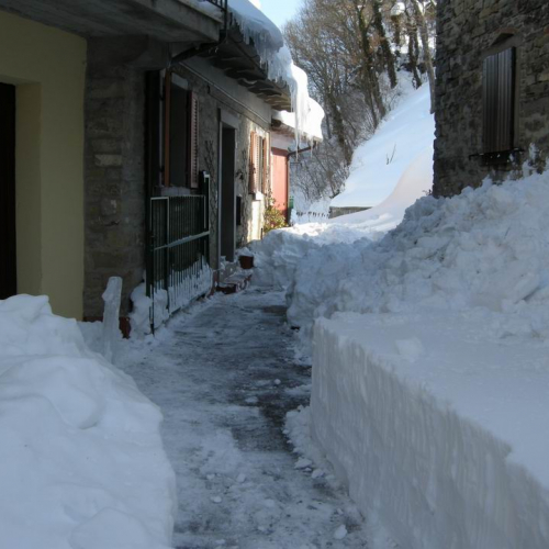 Gallery Borgo Pace n. 7 / 76652