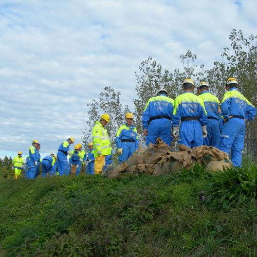 Addestramento 24/10 n. 9 / 44223