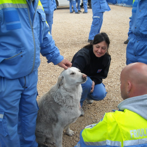 Emergenza Abruzzo n. 54 / 38516