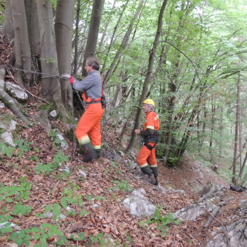 Esercitazione AIB Distretto Val Tagliamento n. 14 / 108862