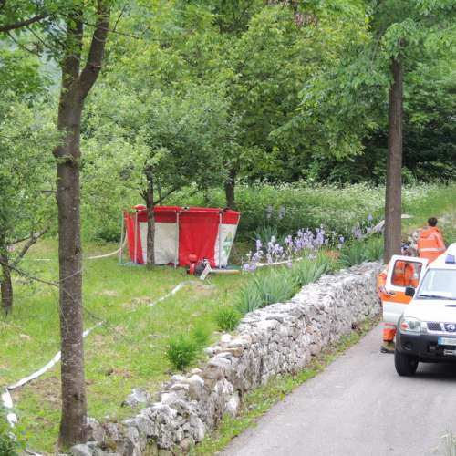 Esercitazione AIB Distretto Val Tagliamento n. 17 / 108865