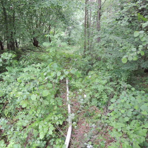 Esercitazione AIB Distretto Val Tagliamento n. 24 / 108872