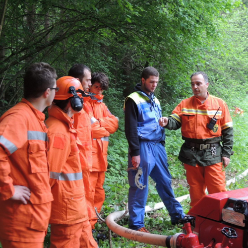 Esercitazione AIB Distretto Val Tagliamento n. 27 / 108875