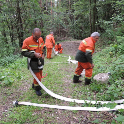 Esercitazione AIB Distretto Val Tagliamento n. 29 / 108877