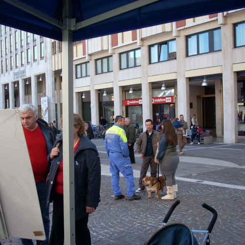 Partecipazione a Incontriamoci a Pordenone" n. 2""artecipazione a "Incontriamoci ""rtecipazione a" / 62416