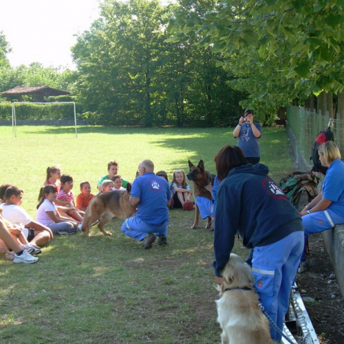 Attivit‡ con Centro Estivo di Sedegliano n. 6 / 84718