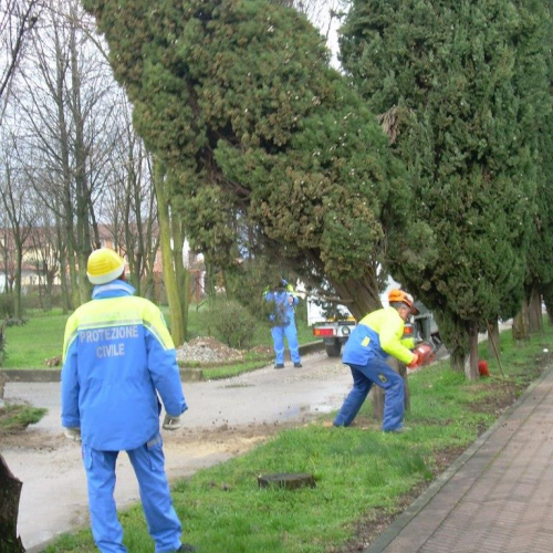 Addestramento del 01/03/14 n. 5 / 104914
