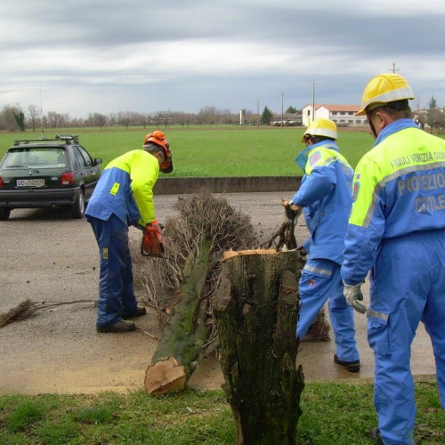 Addestramento del 01/03/14 n. 7 / 104916