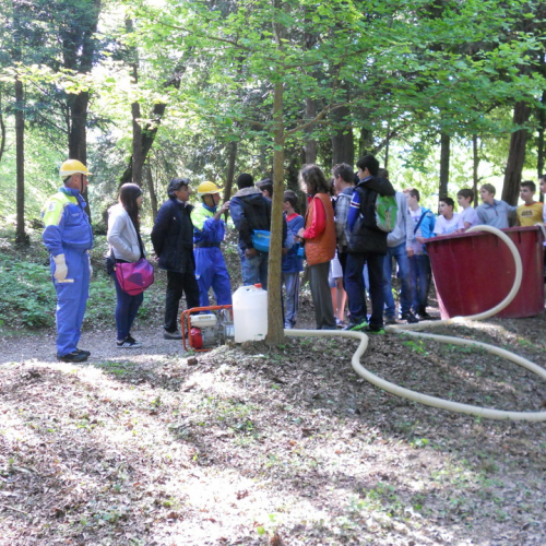Attivit‡ con le scuole 19/05 n. 15 / 81592