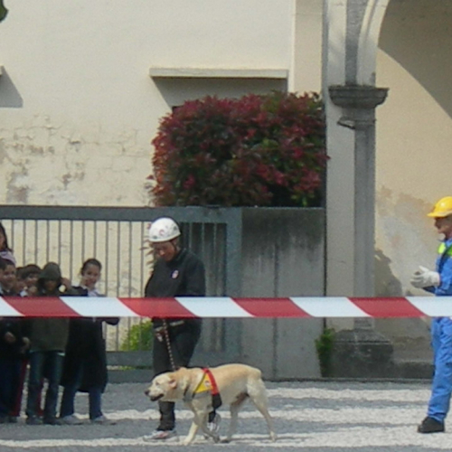 Evacuazione scuola del 08/05 n.1 / 39200