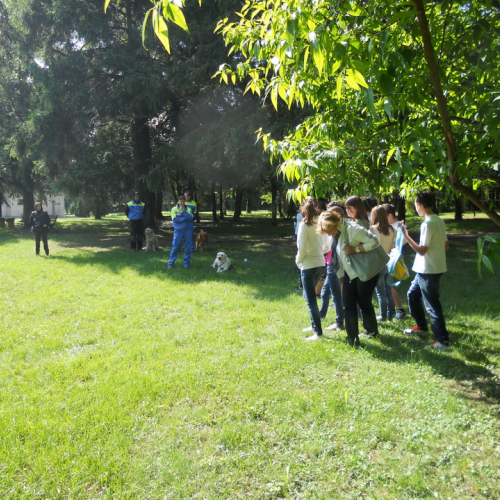 Attivit‡ con le scuole 19/05 n. 18 / 81595