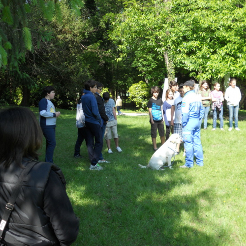 Attivit‡ con le scuole 19/05 n. 21 / 81598