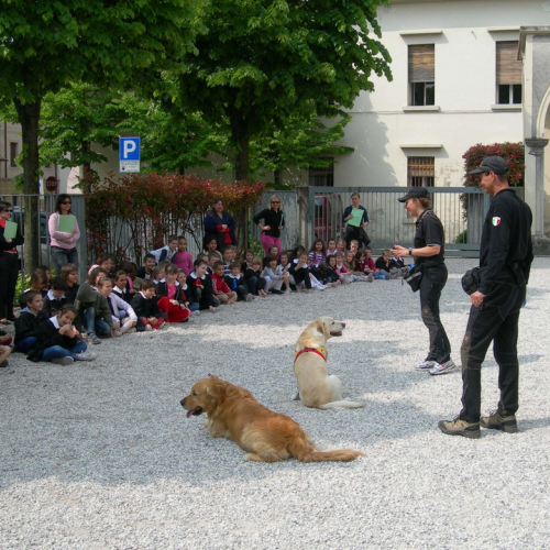 Evacuazione scuola del 08/05 n.4 / 39203