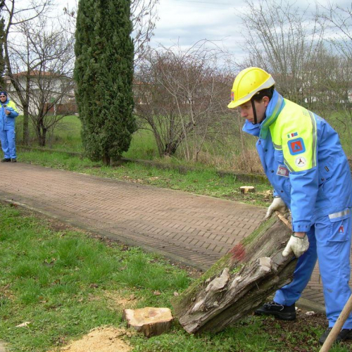 Addestramento del 01/03/14 n. 26 / 104935