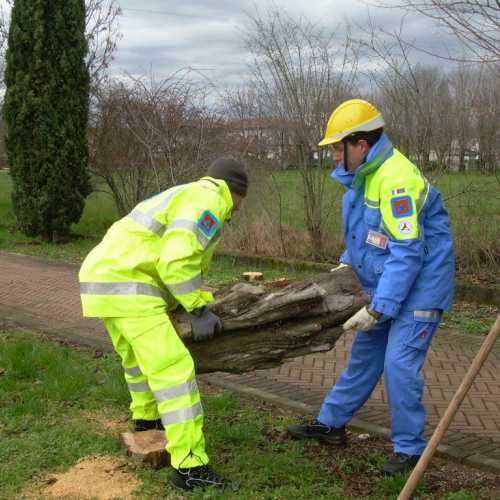 Addestramento del 01/03/14 n. 27 / 104936