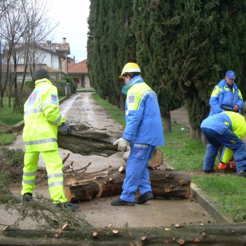 Addestramento del 01/03/14 n. 28 / 104937