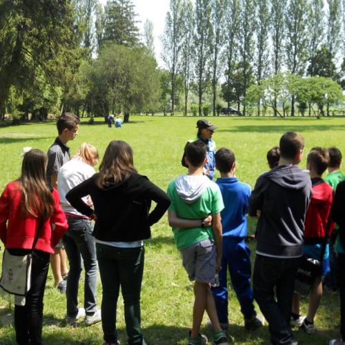 Attivit‡ con le scuole 19/05 n. 39 / 81616