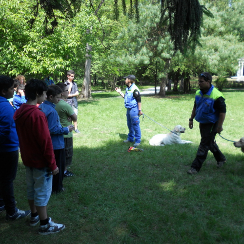 Attivit‡ con le scuole 19/05 n. 40 / 81617