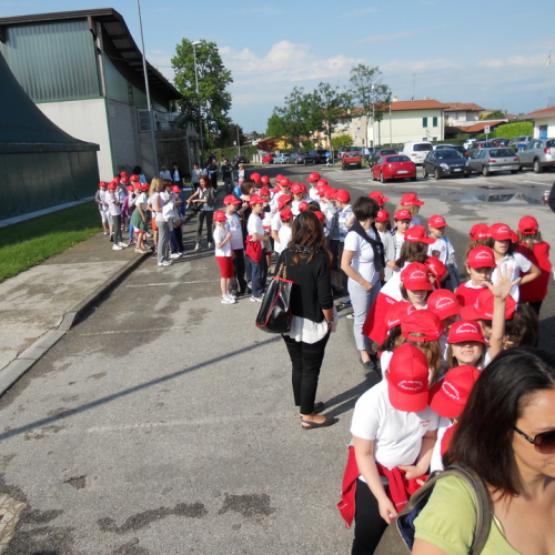 Attivit‡ supporto del 26/05 n. 8 / 81931