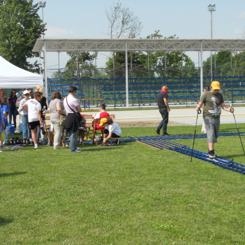 Attivit‡ supporto del 26/05 n. 15 / 81938