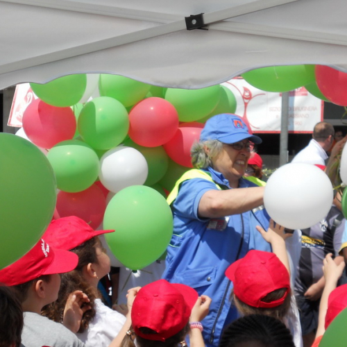 Attivit‡ supporto del 26/05 n. 19 / 81942