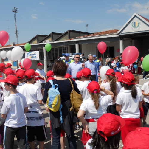 Attivit‡ supporto del 26/05 n. 23 / 81946