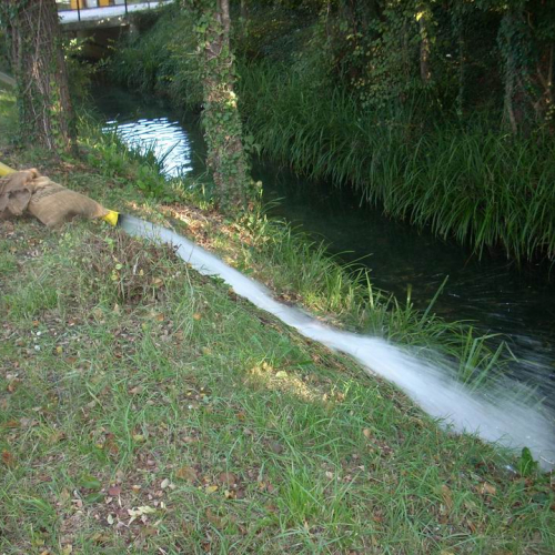 Addestramento San Vito al Tagliamento n. 9 / 71744