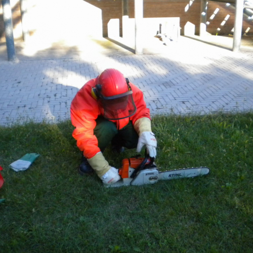 Interventi per rimozione alberi 21/09 n. 1 / 56286