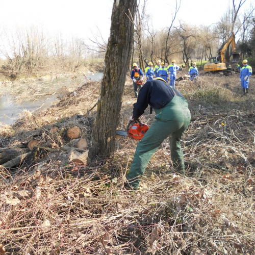 Attivit‡ addestrativa Brugnera 16/02/13 n. 19 / 90914