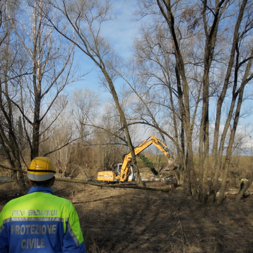 Attivit‡ addestrativa Brugnera 16/02/13 n. 21 / 90916