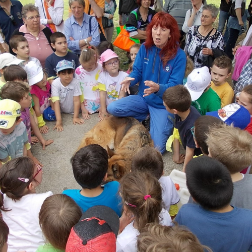 Attivit‡ protezione civile Scuola Marchetti Povoletto n. 6 / 109722