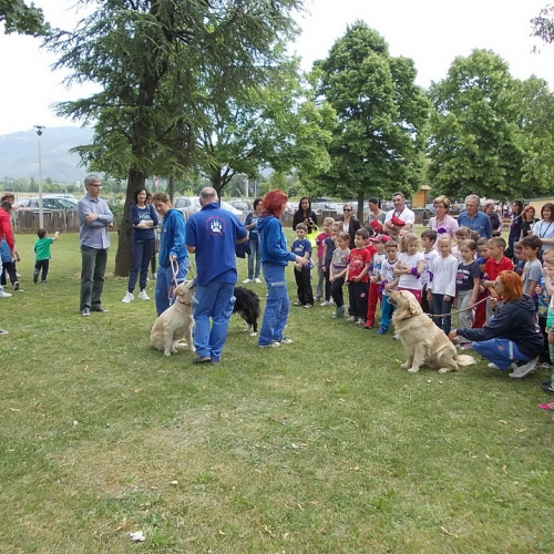 Attivit‡ protezione civile Scuola Marchetti Povoletto n. 19 / 109735