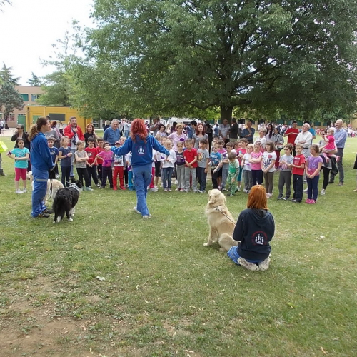 Attivit‡ protezione civile Scuola Marchetti Povoletto n. 21 / 109737