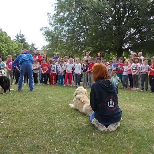 Attivit‡ protezione civile Scuola Marchetti Povoletto n. 22 / 109738