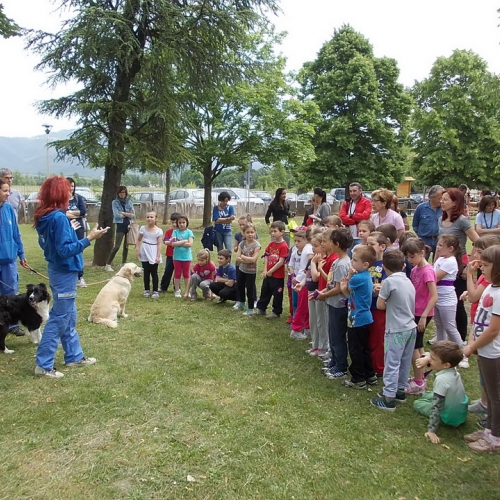 Attivit‡ protezione civile Scuola Marchetti Povoletto n. 23 / 109739