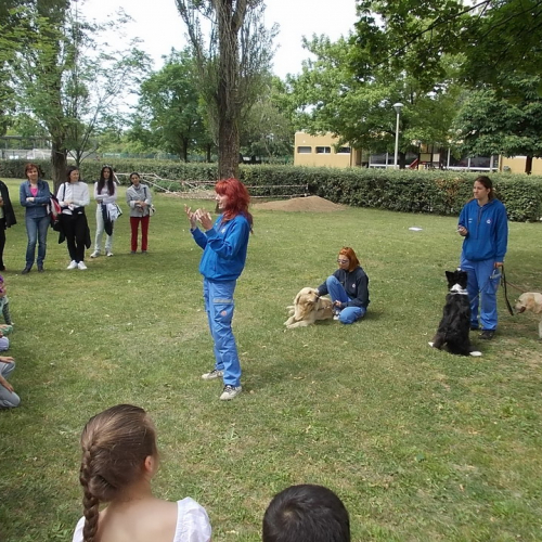 Attivit‡ protezione civile Scuola Marchetti Povoletto n. 25 / 109741