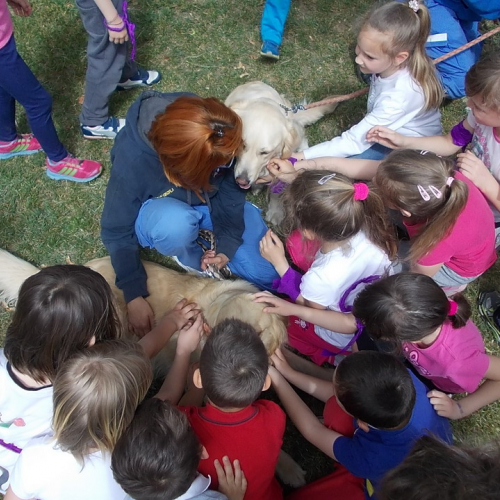 Attivit‡ protezione civile Scuola Marchetti Povoletto n. 26 / 109742